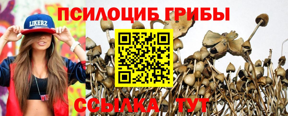 Галлюциногенные грибы прущие грибы Новороссийск