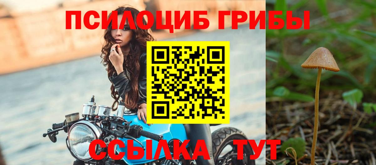 Где купить наркотики?  APVP СК кристаллы  ГАШИШ  Вход с VPN  Меф   Новороссийск  Марихуана  ГАШ 